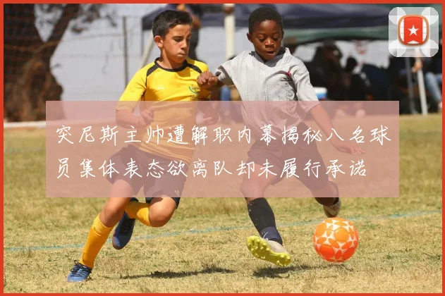 突尼斯主帅遭解职内幕揭秘八名球员集体表态欲离队却未履行承诺