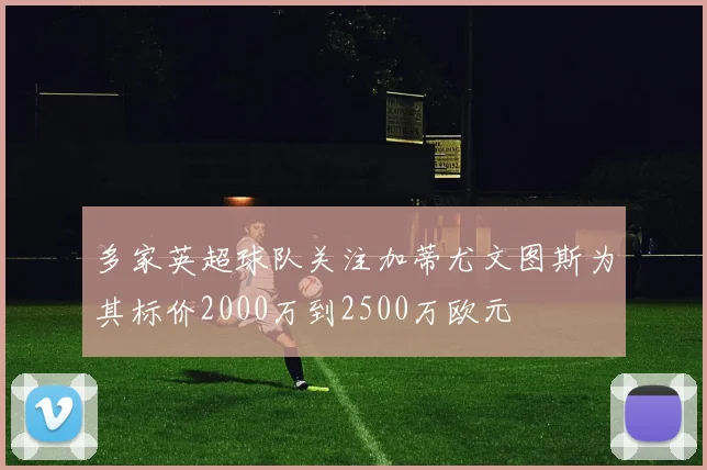 多家英超球队关注加蒂尤文图斯为其标价2000万到2500万欧元